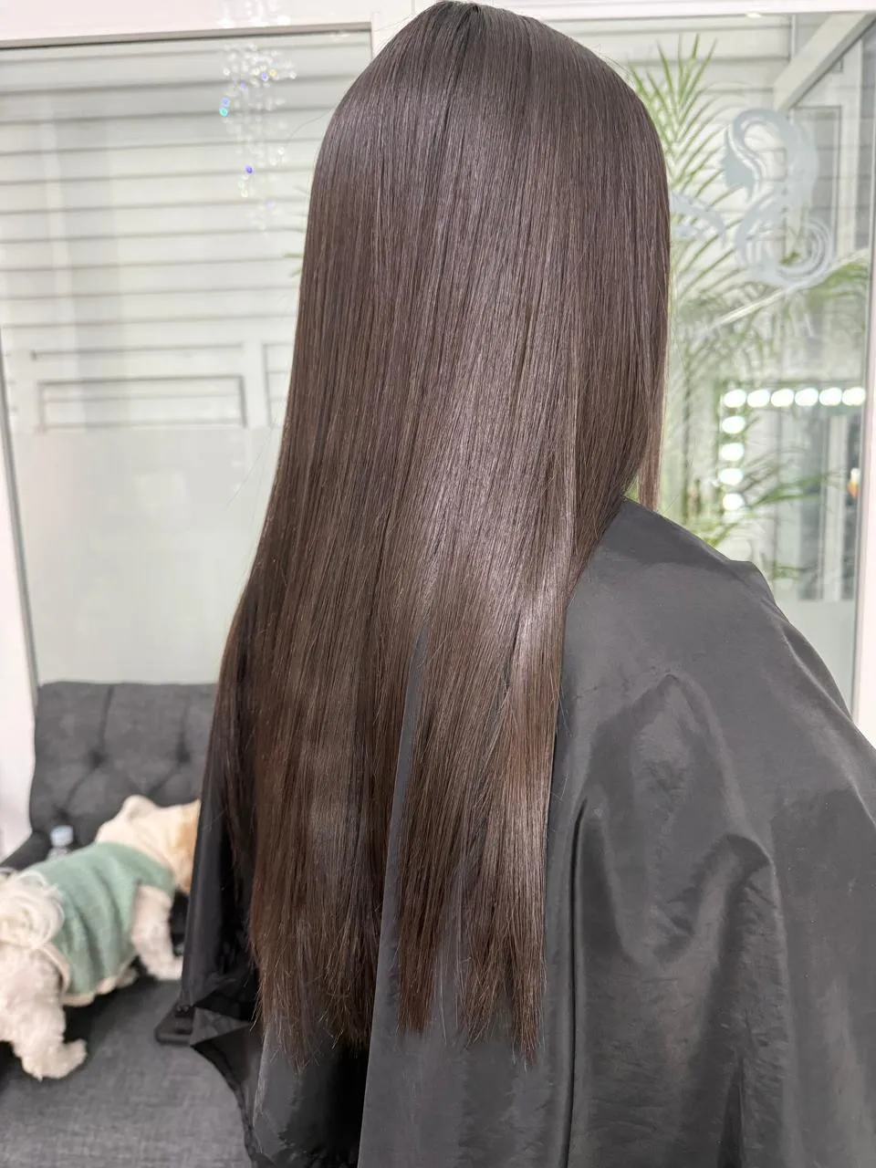 Servicio de tinte y cobertura de canas